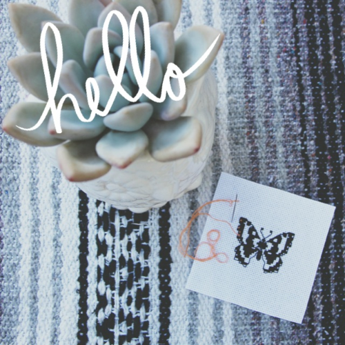 hello.JPG